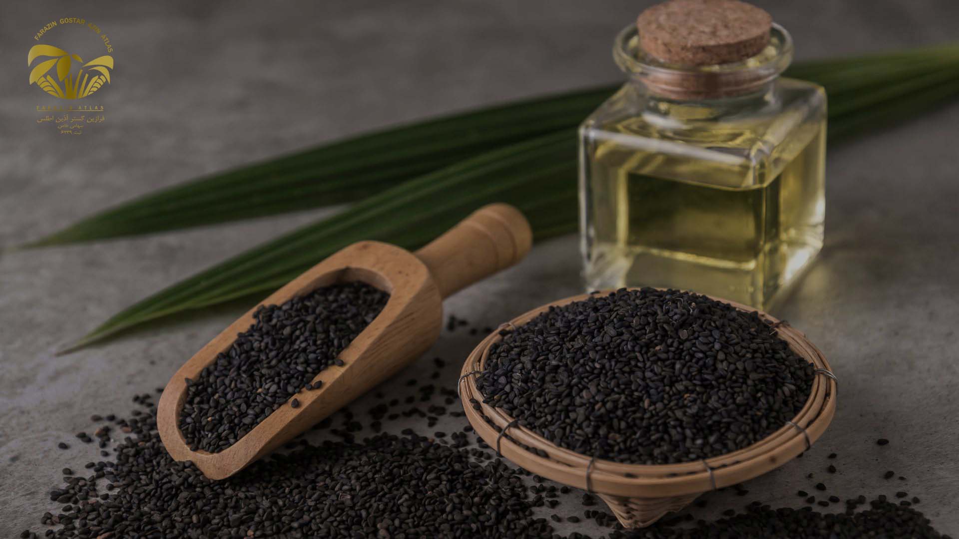 خرید کنجد فرازین اطلس 3