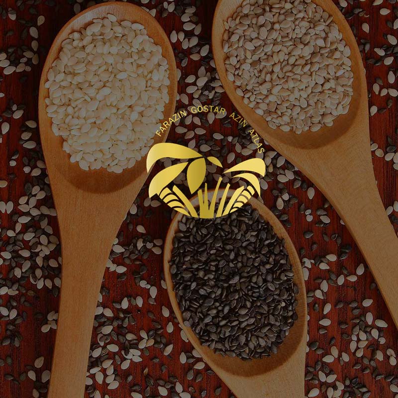 انواع کنجد - فرازین اطلس