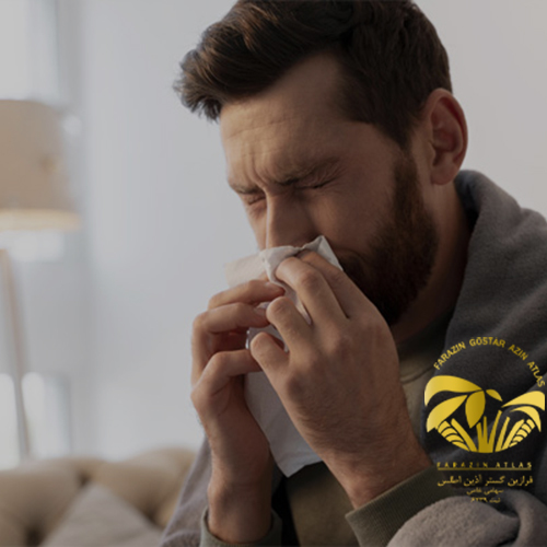 ریسک‌ها و آلرژی‌های کنجد: چه کسانی باید احتیاط کنند؟