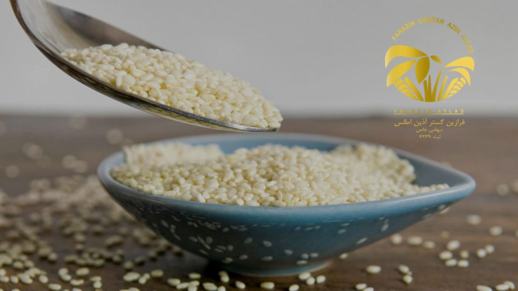 تأثیر کنجد بر عملکرد مغز و حافظه