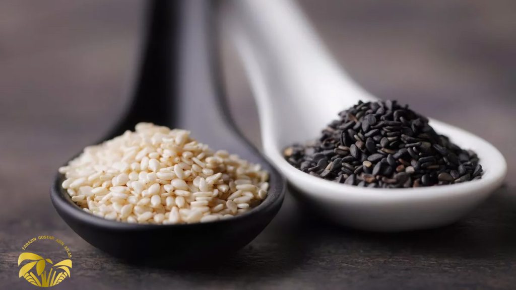 تأثیر کنجد بر سلامت استخوان‌ها و پیشگیری از پوکی استخوان