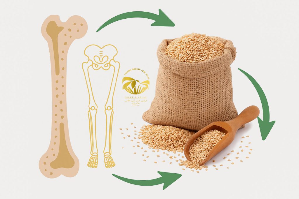 خواص کنجد سیاه در مقایسه با کنجد سفید