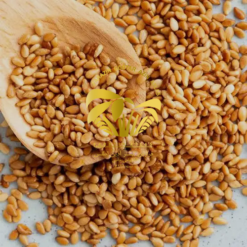 فواید کنجد برای کودکان