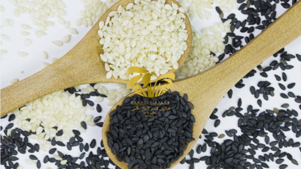 کنجد عمده؛ طلای گیاهی با ارزش غذایی بالا