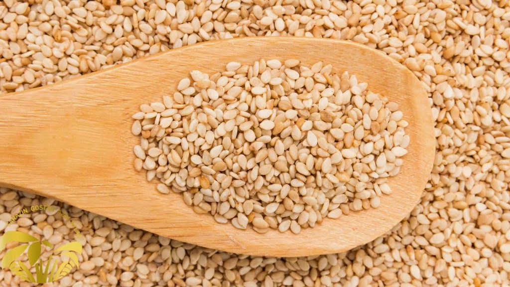 کنجد و نقش آن در سلامت هورمونی بدن