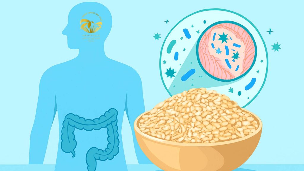 تأثیر کنجد بر سلامت دستگاه گوارش و میکروبیوم روده