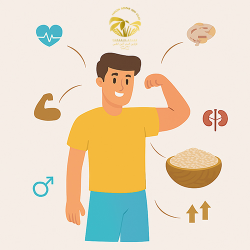 فواید کنجد برای مردان