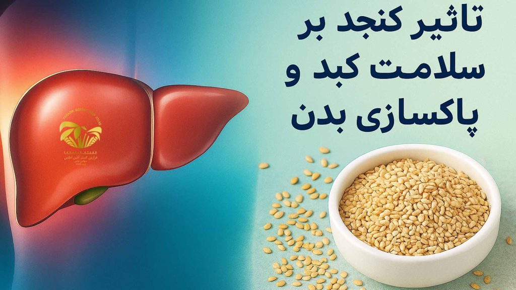 تأثیر کنجد بر سلامت کبد و پاکسازی بدن