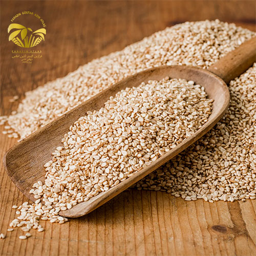 راهنمای جامع تشخیص کنجد باکیفیت برای خرید عمده