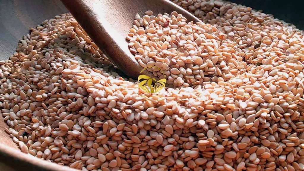 کنجد و نقش آن در تقویت سیستم ایمنی بدن