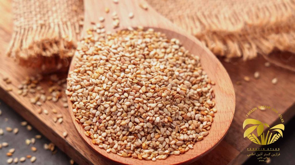 راهنمای جامع تشخیص کنجد باکیفیت برای خرید عمده