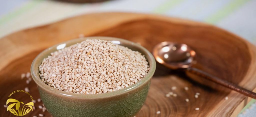 نقش کنجد در افزایش انرژی روزانه و کاهش خستگی مزمن