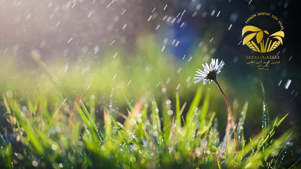 شرایط آب و هوایی و خاک مناسب برای رشد کنجد